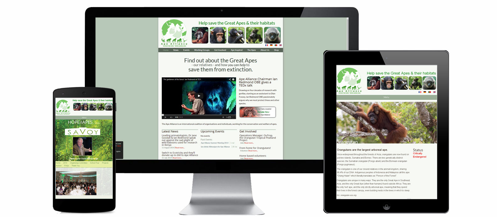 Ape Alliance responsive website